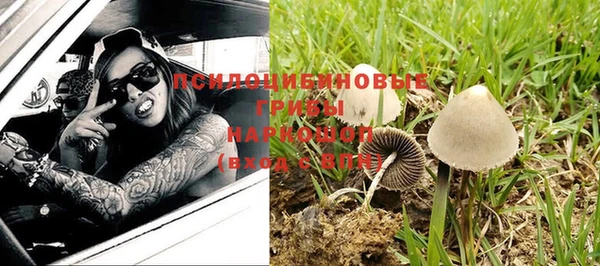 тгк Арсеньев