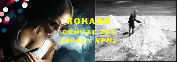 не бодяженный Алексин