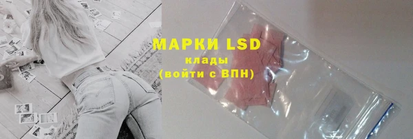 ECSTASY Алзамай