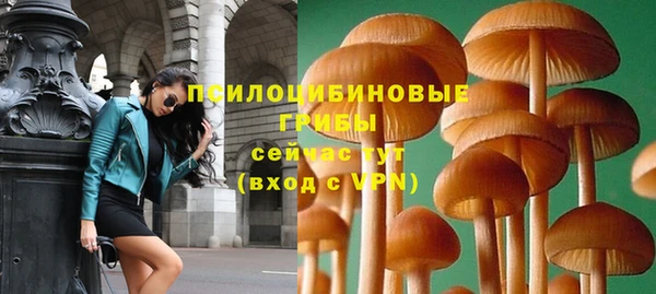 таблы Аркадак